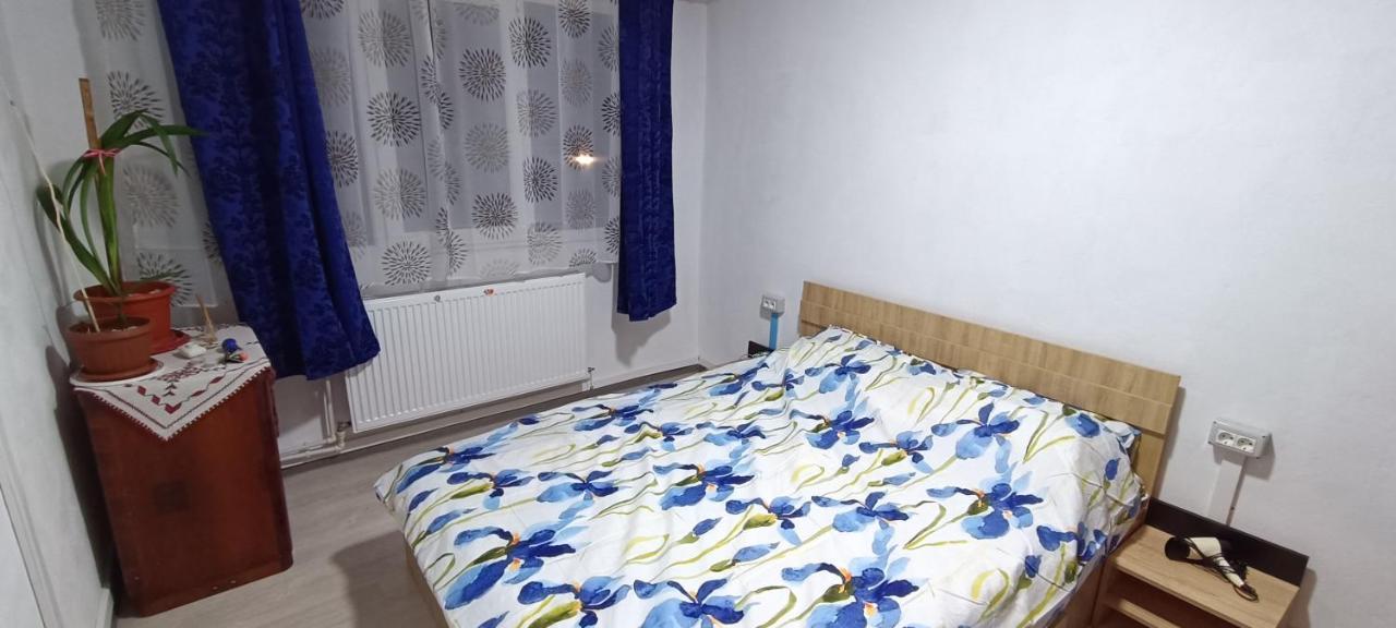 Casa Te Apartment Orszowa Zewnętrze zdjęcie