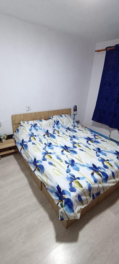 Casa Te Apartment Orszowa Zewnętrze zdjęcie